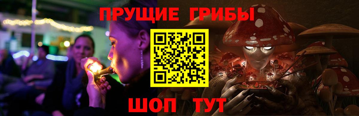 Псилоцибиновые грибы мухоморы Саратов