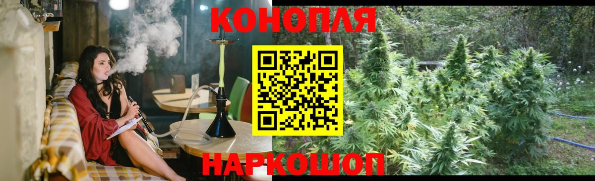 Канабис ГИДРОПОН Саратов